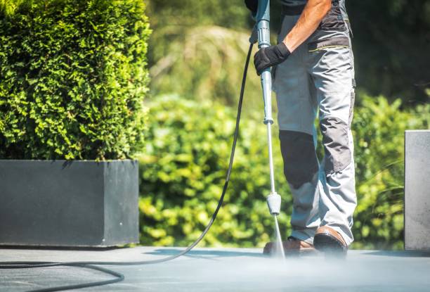 Best Paint Preparation  in Gladwin, MI