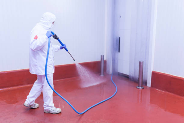 Best Restaurant Pressure Washing  in Gladwin, MI