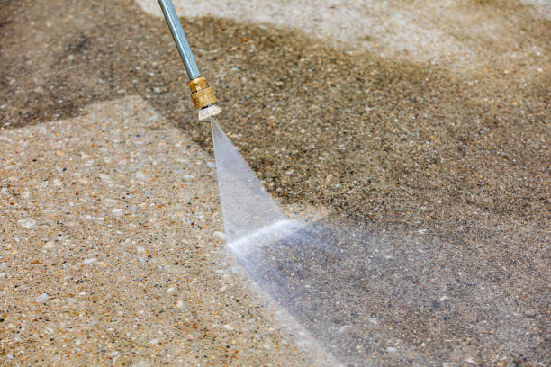 Best Roof Washing  in Gladwin, MI