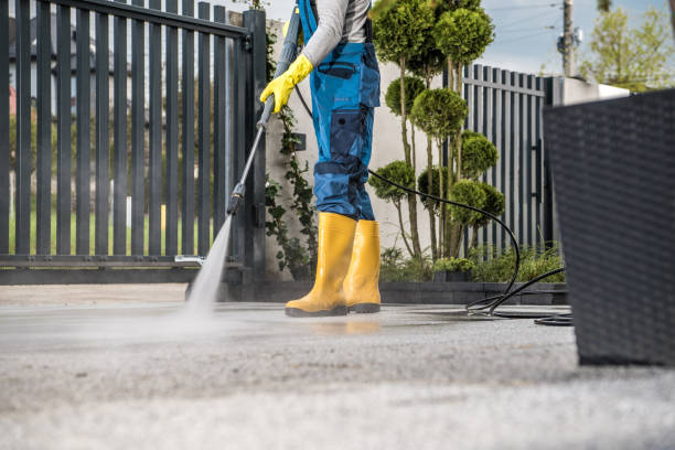 Best Gutter Cleaning  in Gladwin, MI